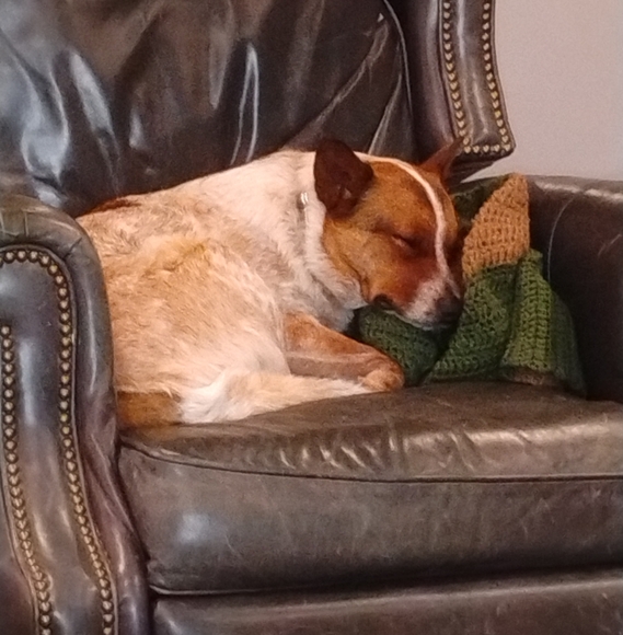 Meet your Posher, Taryn - Picture 2 of 2